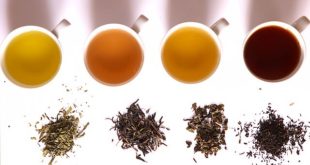 Was macht Tee gesund