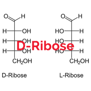 D-Ribose Wirkung-Vorteile-Nachteile-Dosis-Studien