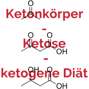 Ketonkörper - Ketose - ketogene Diät Vorteile-Wirkungen