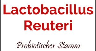 Lactobacillus-reuteri-Vorteile-Wirkungen-Dosis-Autismus-Libido-Gewicht-Cholesterin-Probiotischer-Stamm