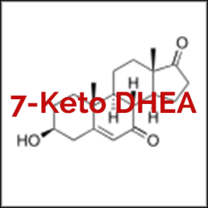 7-Keto-DHEA-Vorteile-Nebenwirkungen-Dosis-Hormon