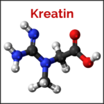 Kreatin-Vorteile-Studien-Nebenwirkung-Dosierung-150x150.png