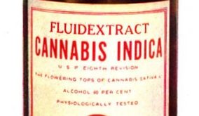 CBD-Öl--Cannabidiol-Cannabis-Vorteile-Studien-Nebenwirkungen-Dosis